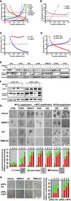 Corrigendum: The MYC paralog-PARP1 axis as a potential therapeutic target in MYC paralog-activated small cell lung cancer